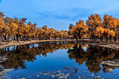 《怪物猎人崛起：曙光》试玩Demo暂停下载 恢复时间待定